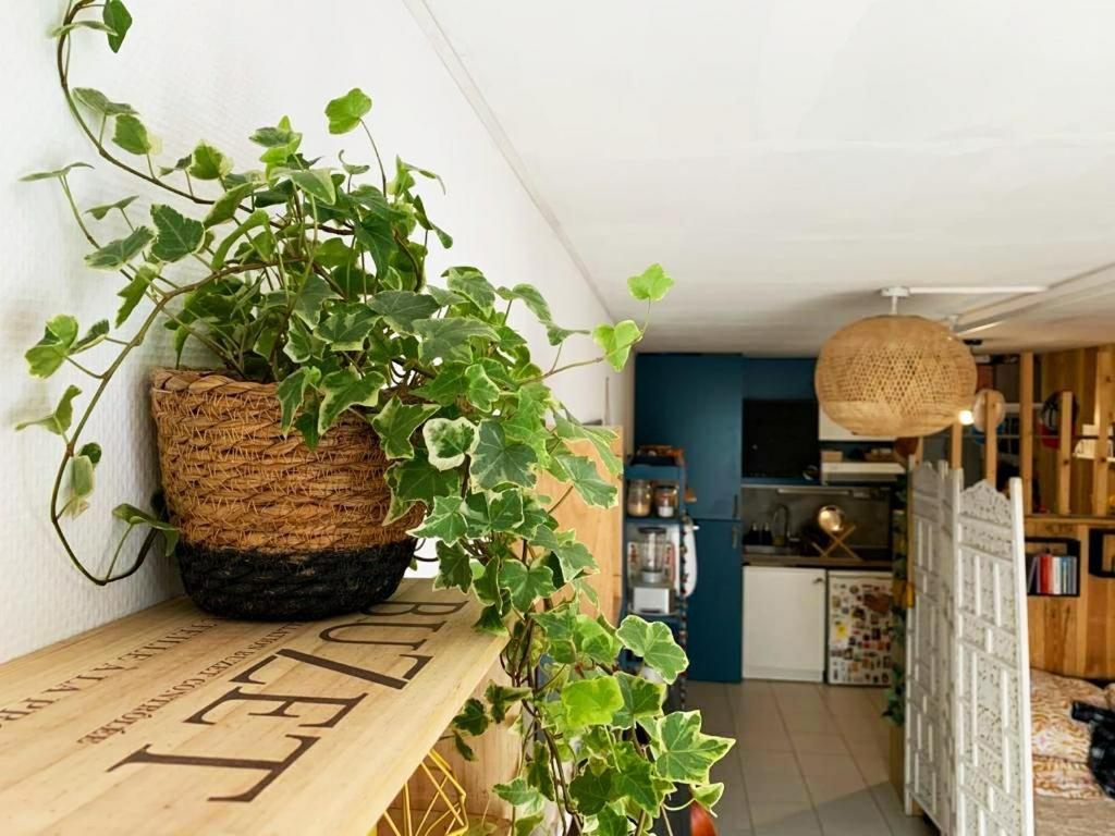 Studio Avec Terrasse Tout Pres Du Vieux Port La Rochelle  Exteriör bild